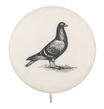 Pigeon Art Button Museum