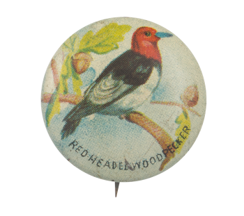 Red -Headed Woodpecker Art Button Museum
