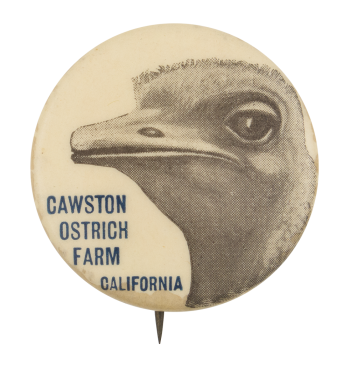 Cawston Ostrich Farm Event Button Museum