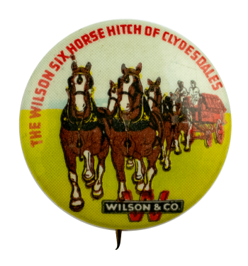 Wilson & Company Six Horse Hitch Advertising Busy Beaver Button Museum