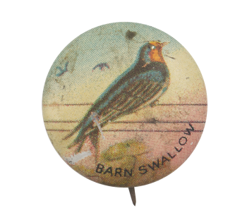 Barn Swallow Art Button Museum
