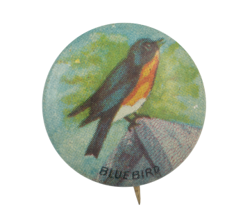 Bluebird Art Button Museum