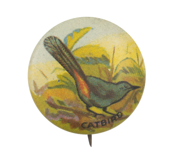 Catbird Art Button Museum