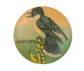 King Bird Art Button Museum