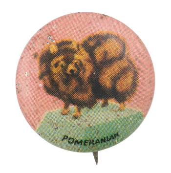 Pomeranian Art Button Museum