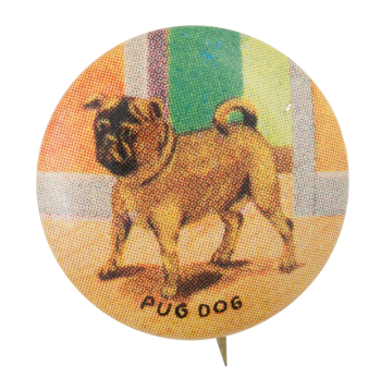 Pug Dog Art Button Museum