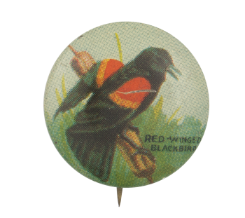 Red-Winged Blackbird Art Button Museum