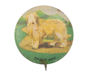 Sheep Dog Art Button Museum