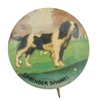 Springer Spaniel Art Button Museum