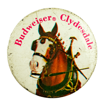 Budweiser Clydesdale Beer Busy Beaver Button Museum