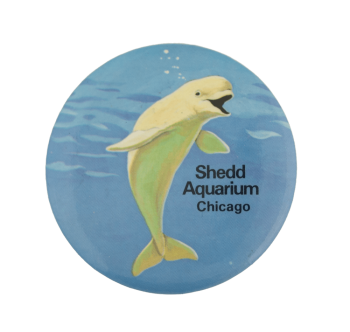 Shedd Aquarium Beluga Chicago Busy Beaver Button Museum