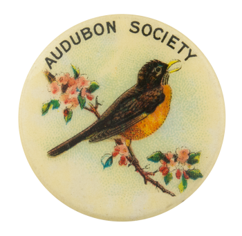 Audubon Society American Robin Club Button Museum