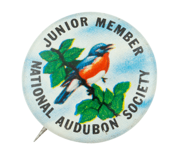 National Audubon Society Junior Member Club Busy Beaver Button Museum