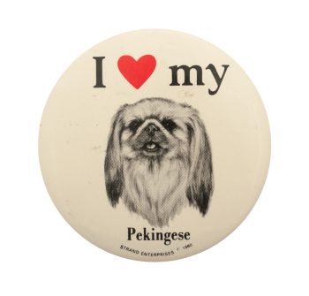 I Love My Pekingese I ♥ Buttons Busy Beaver Button Museum