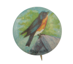 Bluebird Art Button Museum
