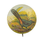 Catbird Art Button Museum