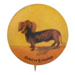 Dachshund Art Button Museum