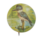 Kingfisher Art Button Museum
