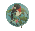 Rose-Breasted Grosbeak Art Button Museum