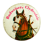 Budweiser Clydesdale Beer Busy Beaver Button Museum
