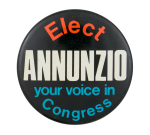 Elect Annunzio Chicago Button Museum
