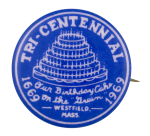 Tri-Centennial Our Birthday Cake Event Button Museum